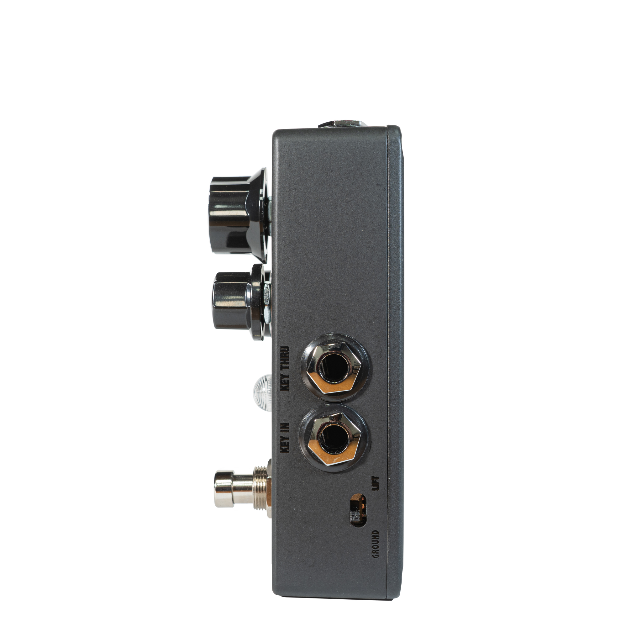 ギター Fortin ZUUL BLACKOUT ZUUL®+ Blackout – Fortin Amps